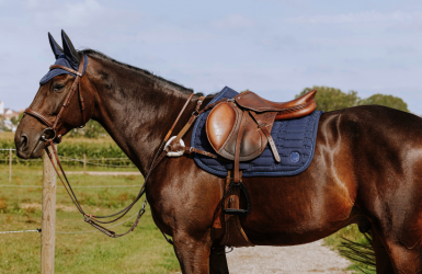Nouveautés EQUITHEME